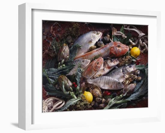 Still Life with Fish, Shellfish and Vegetables-Klaus P^ Exner-Framed Photographic Print