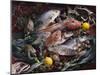 Still Life with Fish, Shellfish and Vegetables-Klaus P^ Exner-Mounted Photographic Print