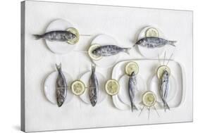 Still Life With Fish-Dimitar Lazarov-Stretched Canvas