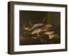 Still Life with Fish-Abraham Hendricksz Van Beyeren-Framed Art Print