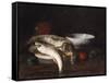 Still Life with Fish-Robert Blum-Framed Stretched Canvas