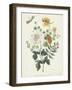 Still Life with Flowers, 1662-Machtelt Moninckx-Framed Art Print