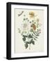 Still Life with Flowers, 1662-Machtelt Moninckx-Framed Art Print