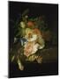 Still Life with Flowers and Butterfly-Rachel Ruysch-Mounted Giclee Print