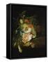 Still Life with Flowers and Butterfly-Rachel Ruysch-Framed Stretched Canvas