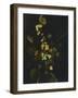 Still Life with Flowers and Fruit-Caravaggio-Framed Giclee Print