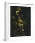 Still Life with Flowers and Fruit-Caravaggio-Framed Giclee Print