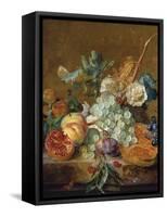 Still Life with Flowers and Fruit-Jan van Huysum-Framed Stretched Canvas