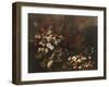 Still Life with Flowers, Fruit, Mushrooms and Birds-Paolo Porpora-Framed Giclee Print