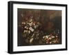 Still Life with Flowers, Fruit, Mushrooms and Birds-Paolo Porpora-Framed Giclee Print