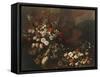 Still Life with Flowers, Fruit, Mushrooms and Birds-Paolo Porpora-Framed Stretched Canvas
