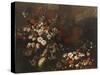 Still Life with Flowers, Fruit, Mushrooms and Birds-Paolo Porpora-Stretched Canvas