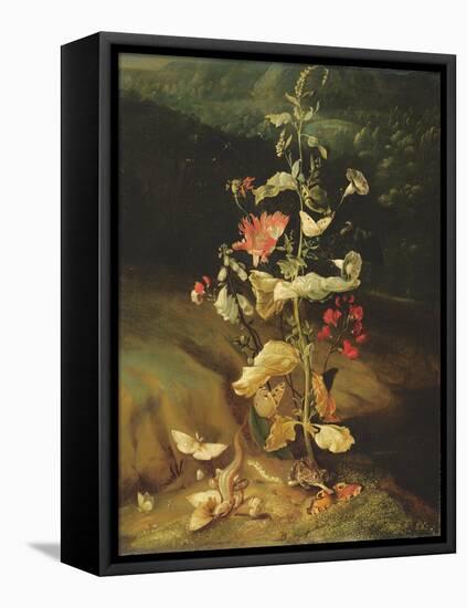 Still Life with Flowers-Otto Marseus Van Schrieck-Framed Stretched Canvas