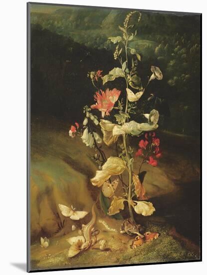 Still Life with Flowers-Otto Marseus Van Schrieck-Mounted Giclee Print