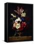 Still Life with Flowers-Willem van Aelst-Framed Stretched Canvas