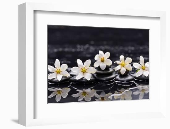 Still Life with Four Gardenia with Therapy Stones-crystalfoto-Framed Photographic Print