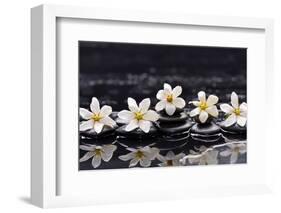 Still Life with Four Gardenia with Therapy Stones-crystalfoto-Framed Photographic Print