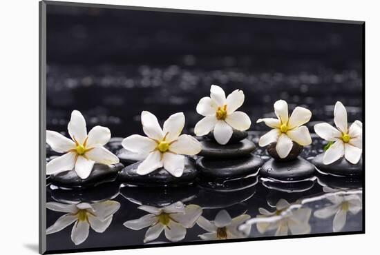 Still Life with Four Gardenia with Therapy Stones-crystalfoto-Mounted Photographic Print