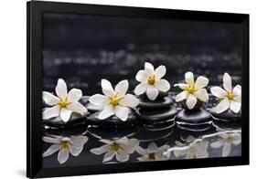 Still Life with Four Gardenia with Therapy Stones-crystalfoto-Framed Photographic Print