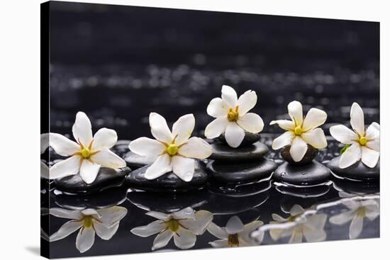 Still Life with Four Gardenia with Therapy Stones-crystalfoto-Stretched Canvas