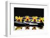 Still Life with Four Orchid with Stones on Water Drops-crystalfoto-Framed Photographic Print