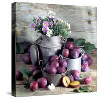 Still Life with Fresh Plums in and in Front of Pots & Pans-null-Stretched Canvas