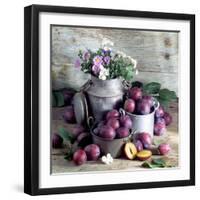 Still Life with Fresh Plums in and in Front of Pots & Pans-null-Framed Photographic Print