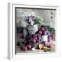 Still Life with Fresh Plums in and in Front of Pots & Pans-null-Framed Photographic Print