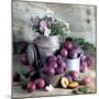 Still Life with Fresh Plums in and in Front of Pots & Pans-null-Mounted Photographic Print