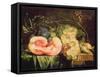 Still Life with Fruit, 17th Century-Cornelis De Heem-Framed Stretched Canvas