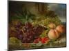 Still Life with Fruit, 1862-John Wainewright-Mounted Giclee Print