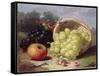 Still Life with Fruit, 1873-Eloise Harriet Stannard-Framed Stretched Canvas