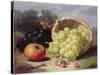 Still Life with Fruit, 1873-Eloise Harriet Stannard-Stretched Canvas