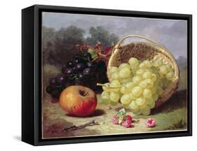 Still Life with Fruit, 1873-Eloise Harriet Stannard-Framed Stretched Canvas