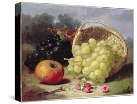 Still Life with Fruit, 1873-Eloise Harriet Stannard-Stretched Canvas