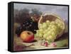 Still Life with Fruit, 1873-Eloise Harriet Stannard-Framed Stretched Canvas