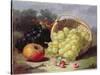 Still Life with Fruit, 1873-Eloise Harriet Stannard-Stretched Canvas