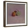 Still Life with Fruit, 1905-Odilon Redon-Framed Giclee Print