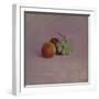 Still Life with Fruit, 1905-Odilon Redon-Framed Giclee Print