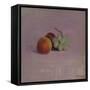Still Life with Fruit, 1905-Odilon Redon-Framed Stretched Canvas