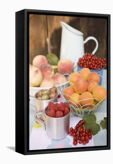 Still Life with Fruit and Berries on Table in the Open Air-Eising Studio - Food Photo and Video-Framed Stretched Canvas