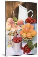 Still Life with Fruit and Berries on Table in the Open Air-Eising Studio - Food Photo and Video-Mounted Photographic Print