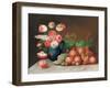 Still Life with Fruit and Flowers, C.1840-William Buelow Gould-Framed Giclee Print