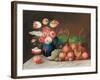 Still Life with Fruit and Flowers, C.1840-William Buelow Gould-Framed Giclee Print