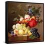 Still Life with Fruit and Flowers-Anthony Obermann-Framed Stretched Canvas