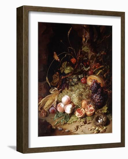 Still-Life with Fruit and Insects-Rachel Ruysch-Framed Giclee Print