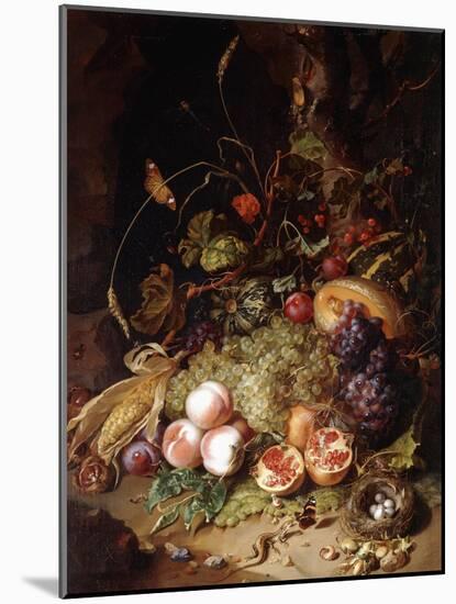 Still-Life with Fruit and Insects-Rachel Ruysch-Mounted Giclee Print