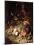 Still-Life with Fruit and Insects-Rachel Ruysch-Mounted Giclee Print