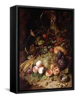 Still-Life with Fruit and Insects-Rachel Ruysch-Framed Stretched Canvas