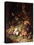 Still-Life with Fruit and Insects-Rachel Ruysch-Stretched Canvas